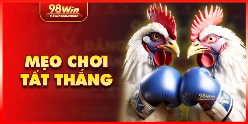 Mẹo bất bại khi tham gia sảnh đá gà WS168