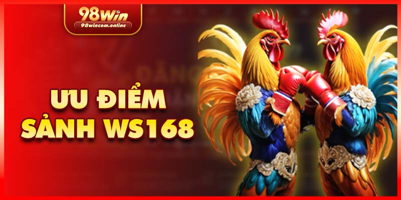 Tổng quan về sảnh đá gà WS168