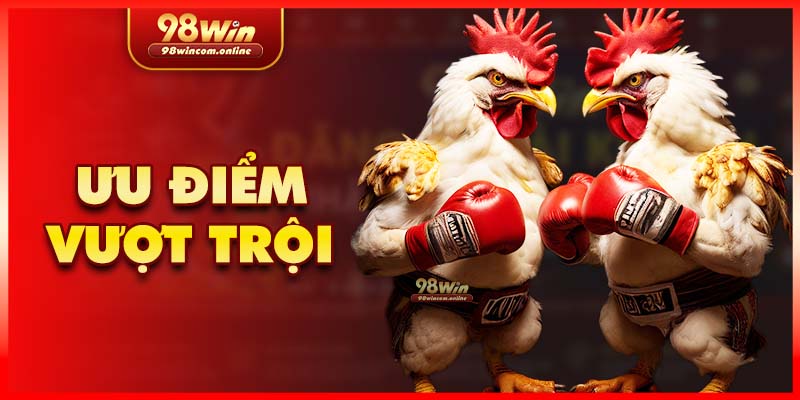 Ưu điểm nổi trội chỉ có tại sảnh đá gà WS168